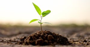 Planejamento Financeiro e Planejamento Previdenciário